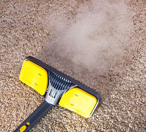 Carpet cleaning