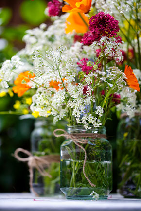 Preserve cut flowers and liven droopy ones